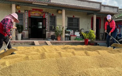 友善耕作：青農的專業與堅持