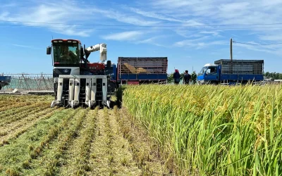 返鄉的呼喚：從遊子到農人